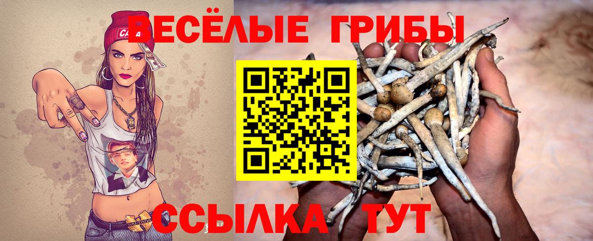Псилоцибиновые грибы мицелий Самара